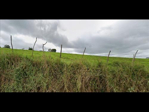 LOTE 125        FAZENDA DE 20 HECTARES COM PLANTAÇÃO DE CA...