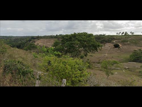 LOTE 134        IMÓVEL RURAL COM 2,73 HECTARES EM CIPOZINH...