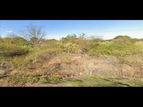 LOTE 137        FAZENDA DE 100 HACTARES EM JUSSARA/BA