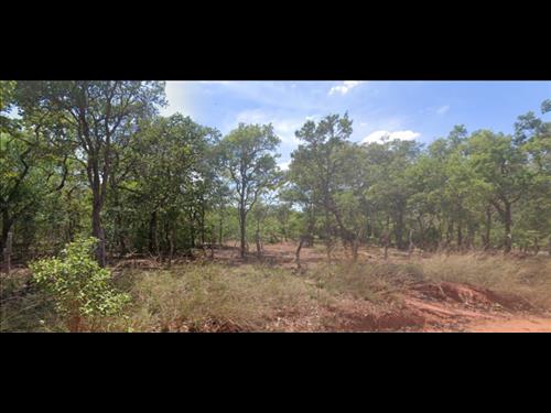 LOTE 140        FAZENDA DE 122,5 HECTARES EM JANUÁRIA