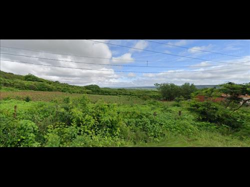 LOTE 146        FAZENDA DE 3 HECTARES EM ARARIPINA/PE