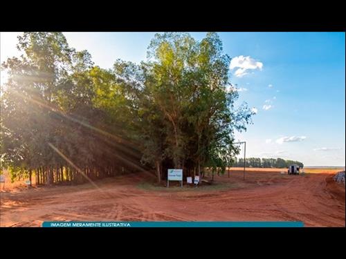 Foto de Fazenda Esperança - Imóvel Rural de 7.782 ha em Nova Mutum - MT