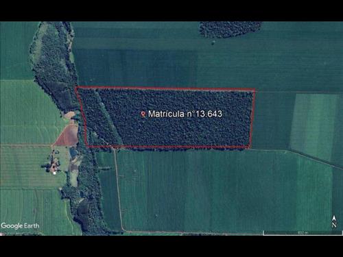 Parte ideal de 50% de 1,1833 hectares situados na Gleba n° 04, Colônia C, Serra Marecajú, Guaíra/PR