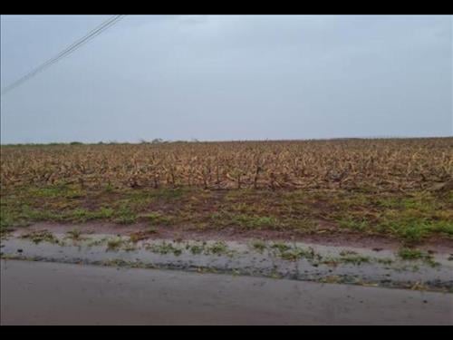 Foto de CHÁCARA COM ÁREA DE 20.220 m2 Em TOLEDO/PR
