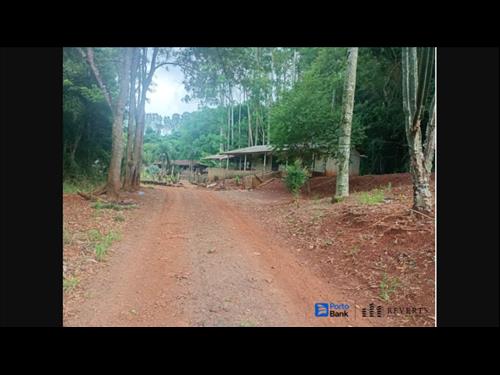 Foto de Londrina-PR. Lote de Terras nº 56-7 – Remanescente, contendo benfeitorias, situa...