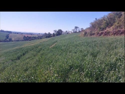 Foto de Imóvel Rural com Área de 72.600 m² (Sítio Alvorada - Gleba Alvorada) - Nova Tebas - PR