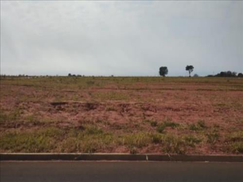 Lote, Residencial, Jardim Botânico I