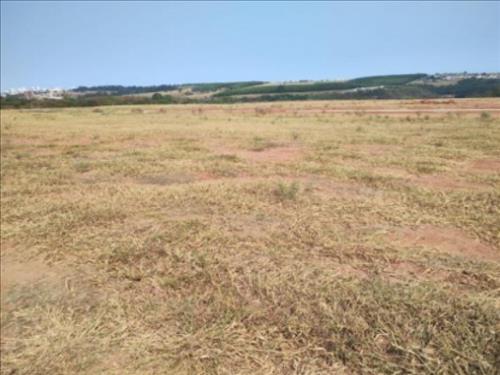 Lote, Residencial, Jardim Botânico I