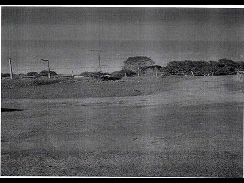 LOTE 001