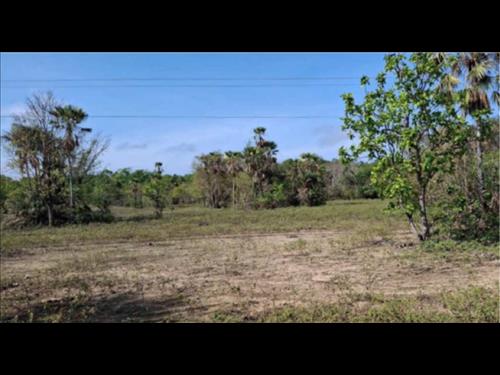 LOTE 065        IMÓVEL - PIAUI  PIRIPIRI-PI (AG. PIRIPIRI...
