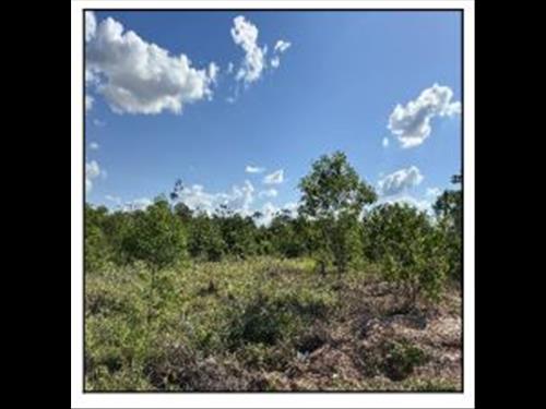 Gleba            -   - 158.575,59m2
