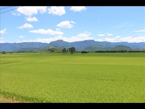 LOTE 003        IMÓVEL RURAL EM LAGAMAR/MG COM 98,62,38 HE...