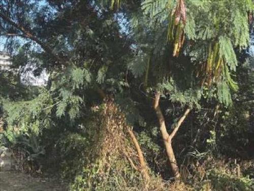 Terreno c/ 356m² em Americana/SP