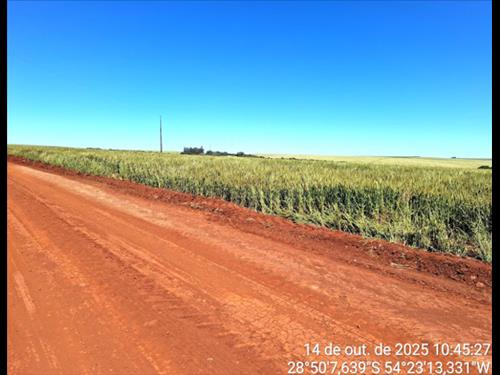 LOTE 013