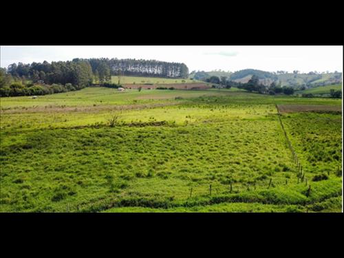 IMÓVEL RURAL | 0300,00HA | DENOMINADO ''CONGONHAL'' | CAMPO BELO/MG