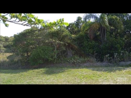 Lote 20 - Ilha Comprida - SP - TERRENO