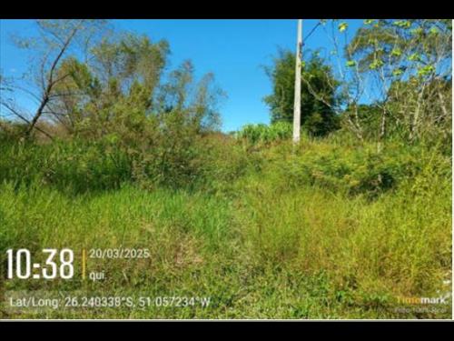 LOTE 004