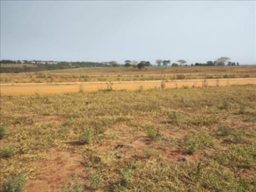 Lote, Residencial, Jardim Botânico I