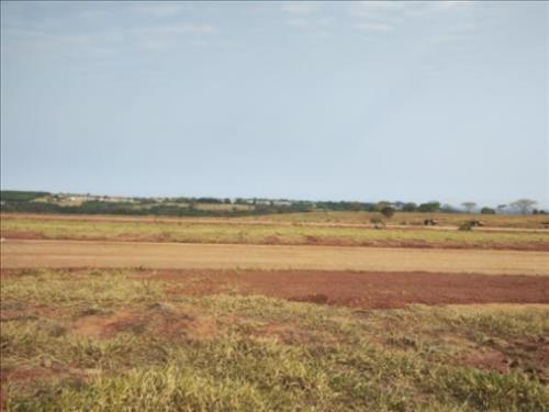 Lote, Residencial, Jardim Botânico I