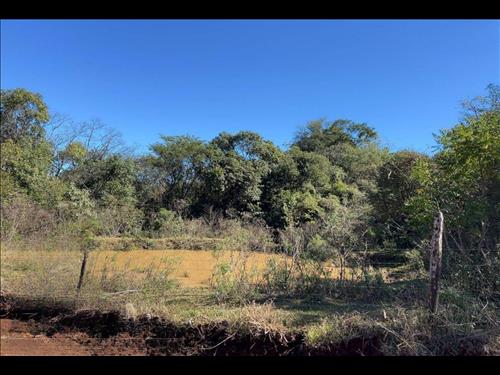 Imóvel Rural Flores e Conceição  5,1912 ha (2,15 alq. paulistas)  Bom Jesus do Sul/PR