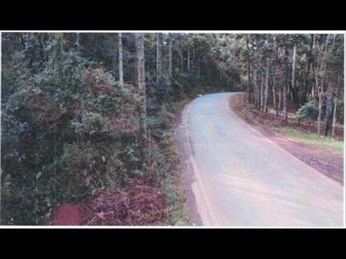 Terreno Rural com 39,1679 Hectares | Mato Dentro (Marrecas) | Guairacá | Guarapuava/PR