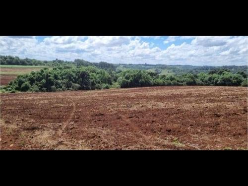 LOTE ÚNICO - FRAÇÃO IDEAL DE 155.000 M² DE ÁREA RURAL COM 295.000 M²