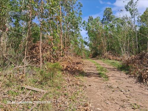 Terreno c/ 657,52m², lote 6, quadra 22, Estrada 36, Loteamento Rural Eldorado – 4ª Parte