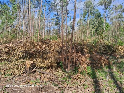 Terreno c/ 726,22m², lote 10, quadra 22, Estrada 36, Loteamento Rural Eldorado – 4ª Parte, zona urb...