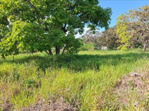 Lote em Condomínio, Residencial, Condominio Monte Verde