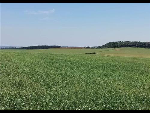 Lote 9 - Maçambara - RS - Imóvel Rural