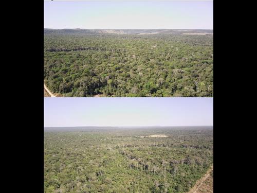 Fazenda Santo Antônio