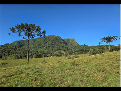 FAZENDA GAFANHOTO| DIVINÓPOLIS/MG - Possibilidade de Parcelamento Prox. CJ Hab. São Frei Galvão I E...