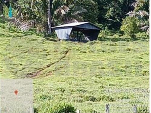 Lote 080 ANTERIOR PRÓXIMO Descrição do Lote Situação Lote- Liberado Leilão Forma Pagamento- À vista...