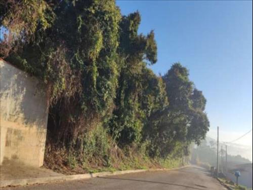 Terreno à venda em leilão