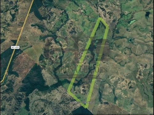 FAZ PRIMAVERA IV (259 HÁ) GUIRATINGA