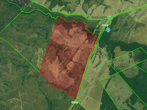Fazenda, 200 Hectares, Rosário Oeste/MT (28818) | Grupo Lance