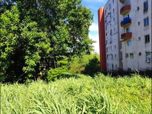 Terreno urbano de 600,00 m² (12 x 50 metros), sem benfeitorias, Vila Portes, Foz do Iguaçu/PR