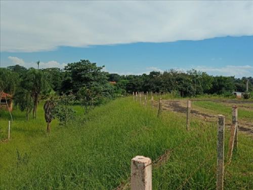 Terreno, 12.000m², Talhado, São José do Rio Preto/SP (28897) | Miranda Carvalho Leilões