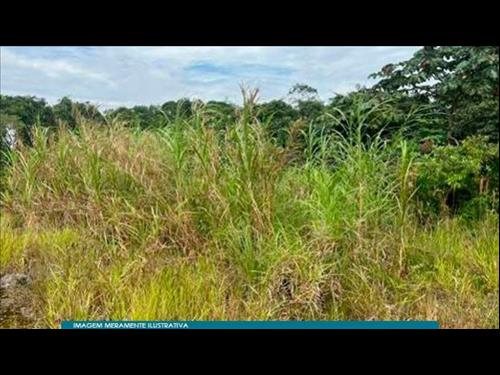 Terreno 145 m² (Residencial Mirante de São Bernardo) - Demarchi - São Bernardo do Campo - SP