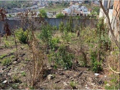 Terreno à venda em leilão
