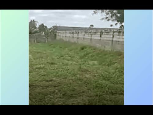 3 Terrenos Urb 2500m² cada Brasília