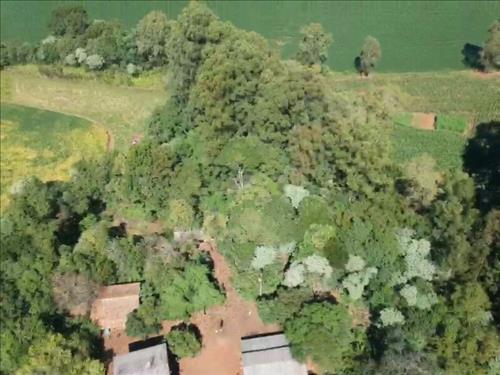 LOTE 007        OS DIREITOS E AÇÕES DA FRAÇÃO IDEAL DE 8.4...
