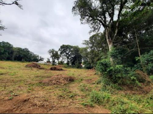 LOTE 001
