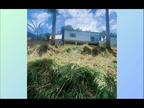 Terreno 329m² Muriaé