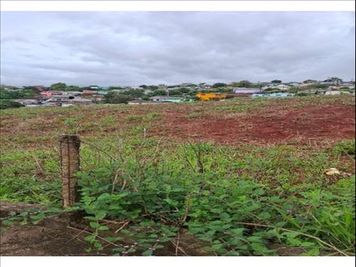 Terreno à venda em leilão