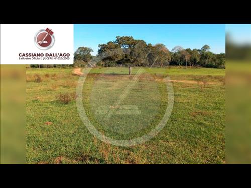 LOTE 004        Parte de terra, com 70,0000 ha, pastais e...