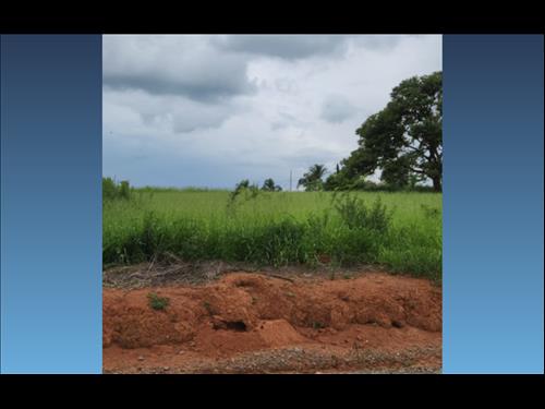 Terreno 1.000m² — Carmópolis de Minas