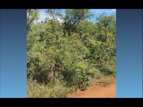 Terreno de 560m² — Boa Esperança