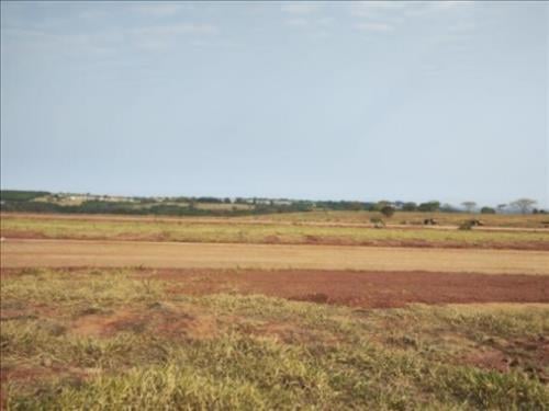 Lote, Residencial, Jardim Botânico I