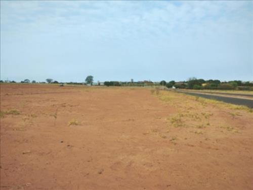 Lote, Residencial, Jardim Botânico I